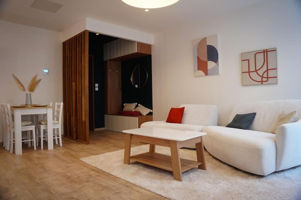 Bel Appartement Centre-Ville Saint-Etienne  Eksteriør billede